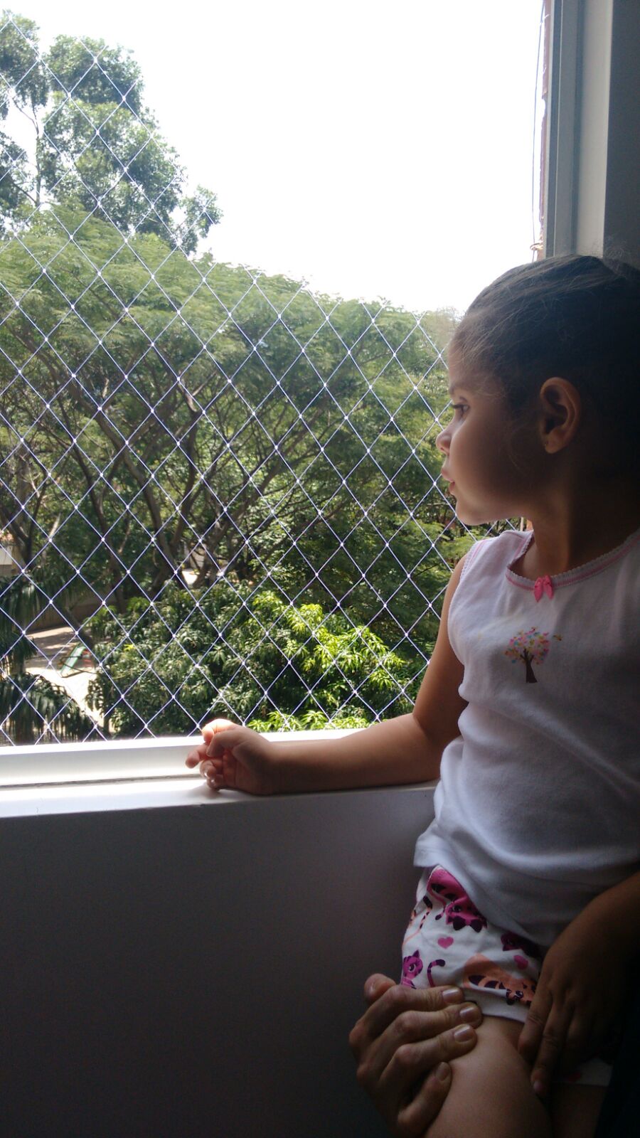 Malla para Ventana